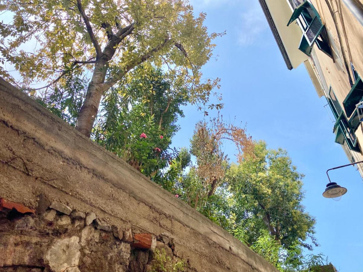 Casaviva - Lovely Bilo In Ancient Genoa Lägenhet Exteriör bild